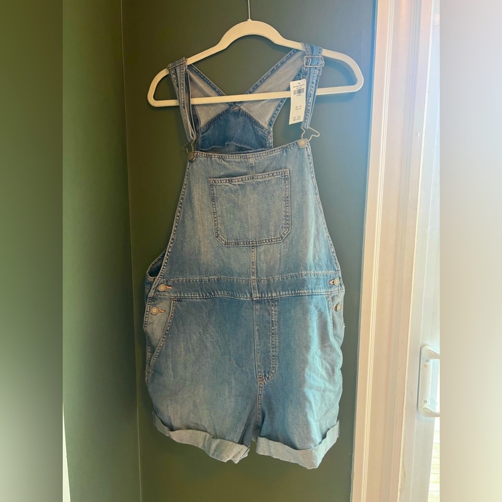 Abercrombie and Fitch overall shorts